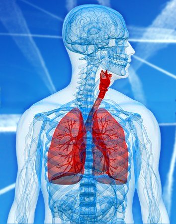 lung protection.jpg