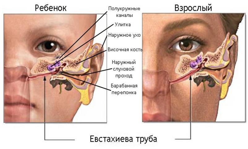 lor-vrach-v-chelyabinske.jpg